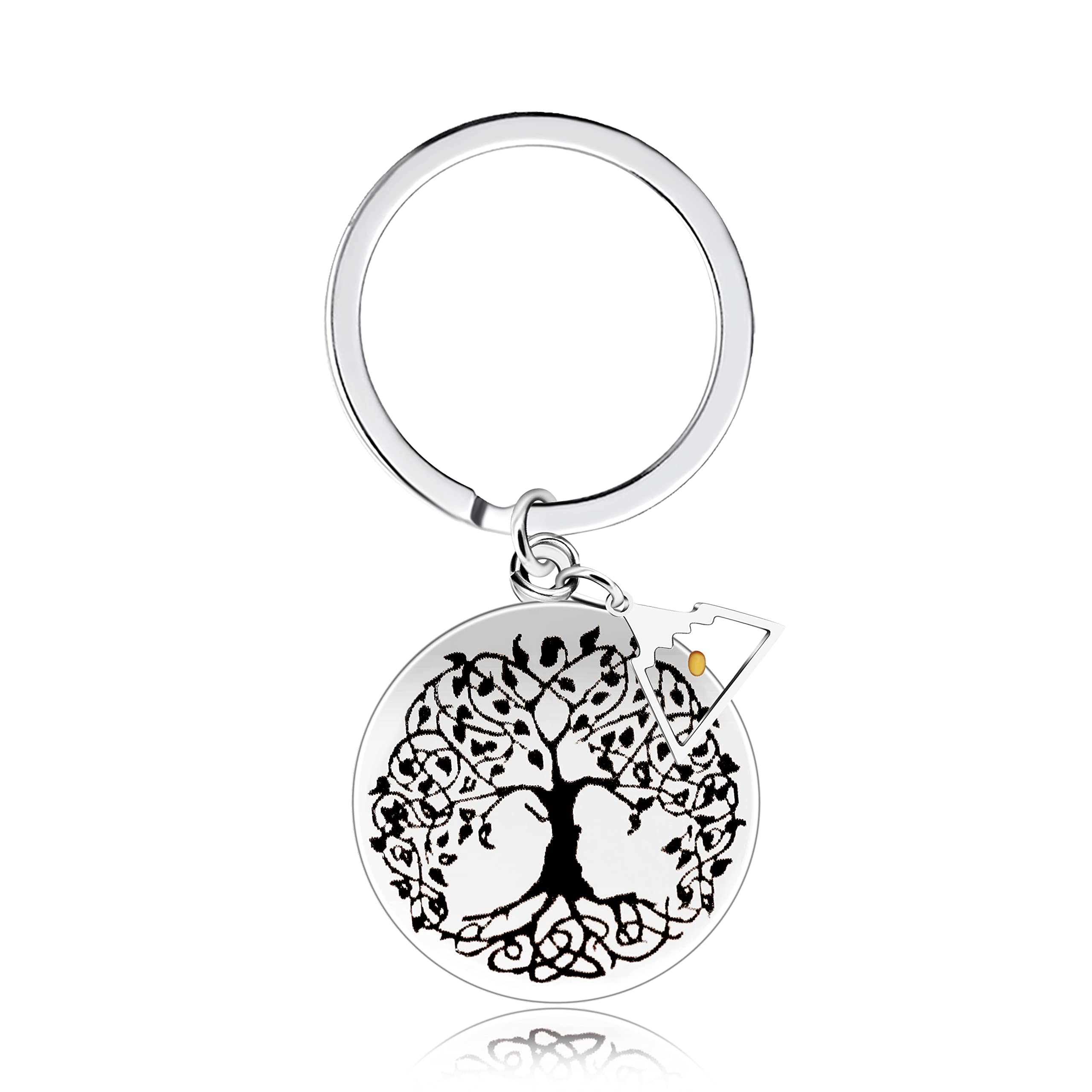 Stainless Steel Tree of Life Mustard Seed Keychain, Christian Faith Key Ring with Real Mustard Seed Charm, Inspirational Family Tree Keychain Gift for Women Men Y764