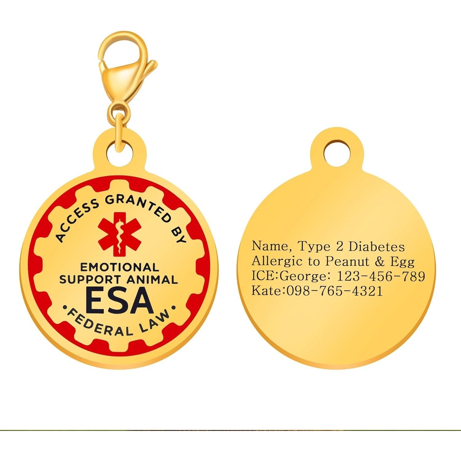 Dynamic QR Code ESA Dog ID Tag, Editable Emotional Support Animal Pet Tag, Scannable Pet Information Contact Details, No Info Required at Checkout, Golden and White, YA6312